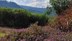 Refúgio da Serra - Photo 3