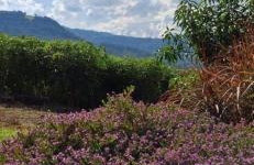 Refúgio da Serra - Foto 3