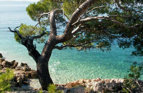 Apartmani Milka i Jozo - Foto 34