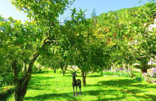 Charming House with Shared Pool in Porto de Mós. - Foto 22