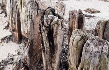 Penthouse Ferienwohnung Auszeit, gerne mit Hund, WLAN inkl. - Foto 32