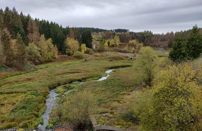 Doppelhaushaelfte in Hasselfelde - Foto 39