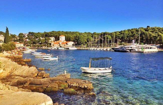 Apartments Oliva - Foto 31