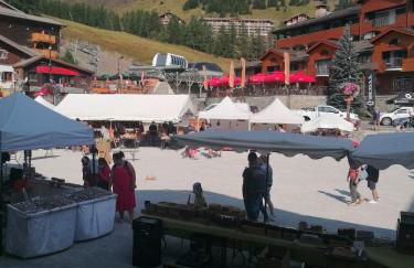 Appartement 8 couchages 45 m2 tout confort à la foux d'allos - Foto 31