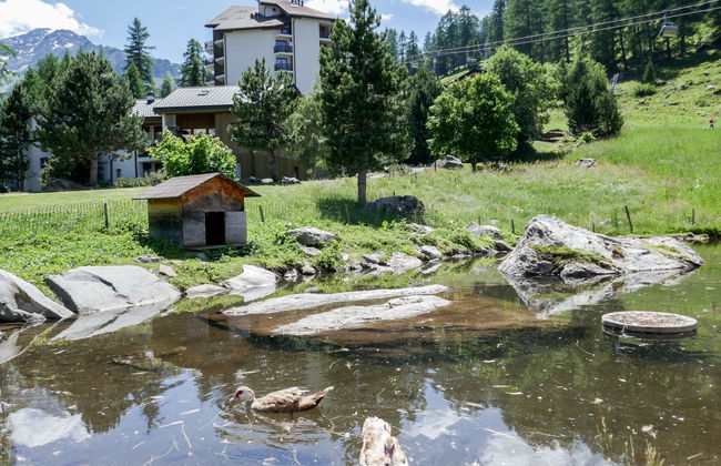 Mont-Fort 64 - Photo 28