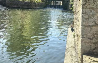 Maison cosy emplacement idéal Chartres, Netflix, Wifi, garage vélos - Foto 22