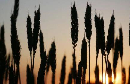 Luxury Retreat 30mins Taxi Ride From West London - Photo 44