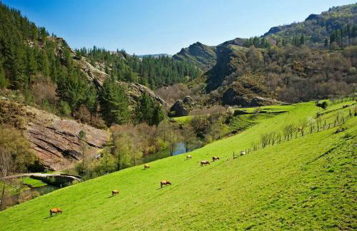 Apartamentos Rurales TIN TURISMO - Foto 69