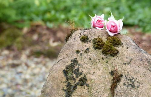 WERTS HOF Apartment 2 - Foto 22