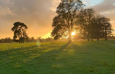 Pool House, farm stay - Foto 12