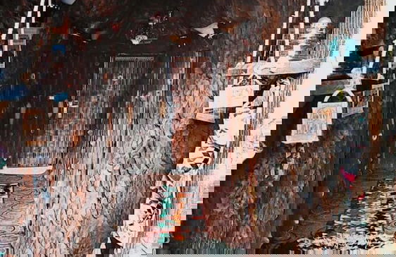 Petra dad farm - Foto 2