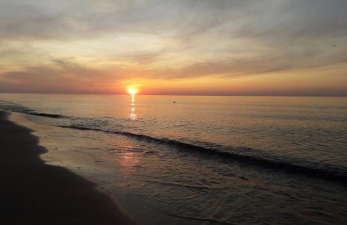 Domki GAMA - Photo 39