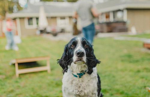 R&Rcade- Hot Tub, Arcade, Candy Machine, Gazebo - Foto 51