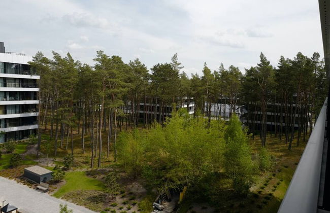 Art Forrest 33 K in Rogowo - Photo 25