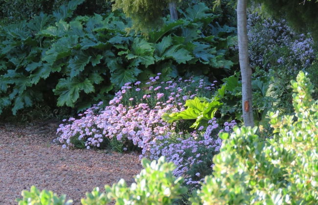 Sandy's Place - Photo 36