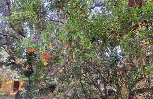 Chalet con piscina vistas y salida a parque natural - Foto 26