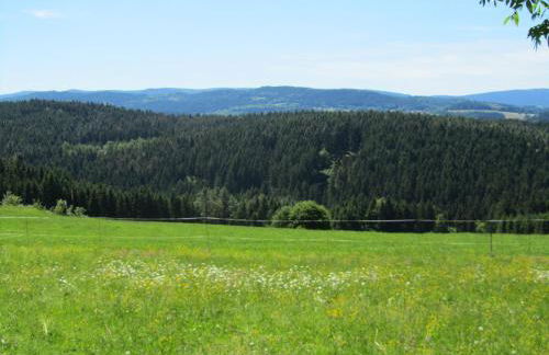 Ferienhaus Zopfhäusl - Foto 25