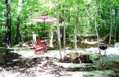 Secluded Watertree Tiny House near Old Hickory Lake – Private Deck, Trails & Breakfast - Foto 46