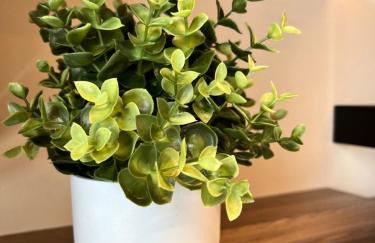 Appartamento del BUFO - appartamento al lago - Foto 6