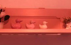 Casal dos Carpinteiros - Carpenters Couple - Foto 35