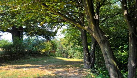 Casa sull'Albero Aromantica - Foto 4, Garden