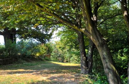 Casa sull'Albero Aromantica - Foto 4