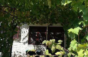 SUMMER TIME - Photo 34