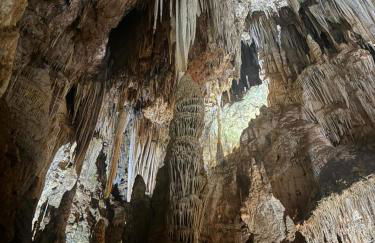 Casa Petar Betari - Foto 63