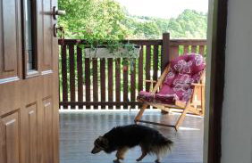 Wielgosówka - Foto 6