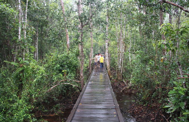 Houseboat Bee Kelotok - Foto 67