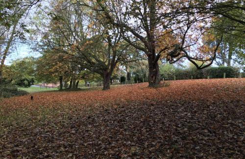 White House Barn, near Yarm / Stockton-on-Tees - Foto 36