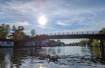 Tamanzi Taggs-floating home on idyllic island - Foto 42