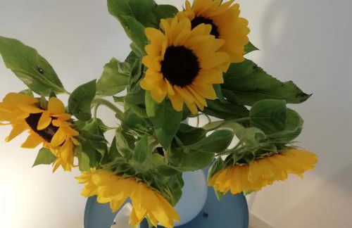 Villa Maria - Foto 50