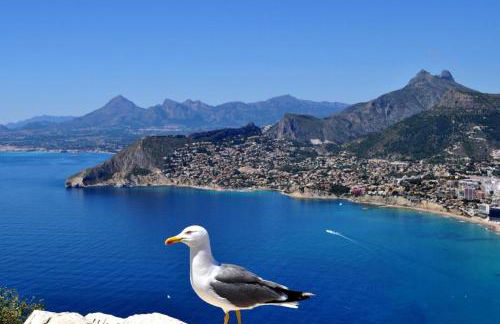 Casa Zebole - Photo 31