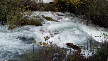 Casa Lucía y Clara benaojan - Foto 5