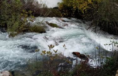 Casa Lucía y Clara benaojan - Photo 5
