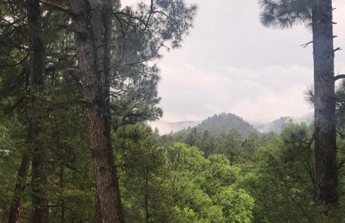 Gonzales Cozy Little Bear Cabin - Foto 44