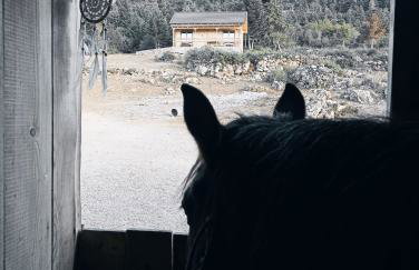 The Farmhouse - Photo 31