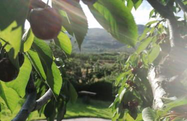 Complejo Rural Las Palomas - Foto 56