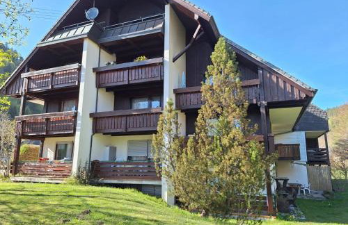 Gemütliche Ferienwohnung in Sankt Blasien - Photo 6