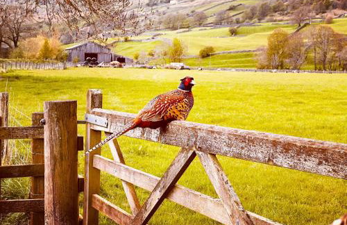 Galboly Cottage - Photo 28