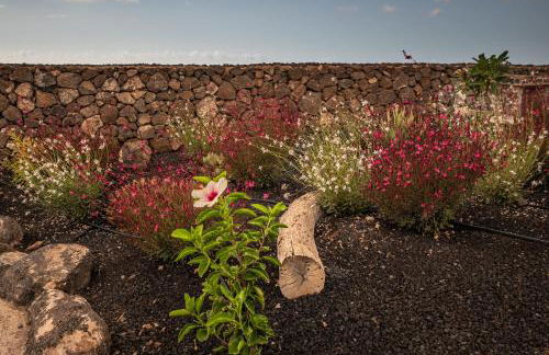 Casa Kira - Photo 59