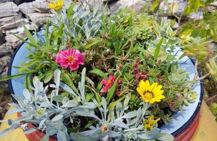 Holiday Home Subasic - Photo 12