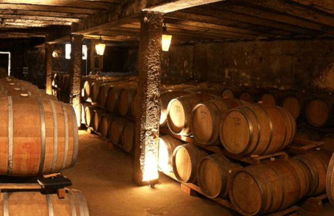 Visita a Bodegas Carrau - Foto 6