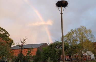 Storchennest-Kraatz - Photo 15