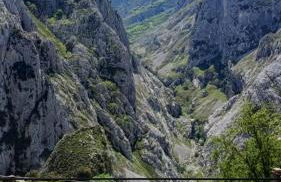 El Portal del Abuelo - Foto 9