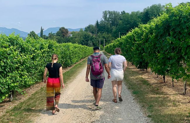 Premium Private Prosecco Hills Tour - 2 Cantine. Tour privato. - Foto 41