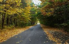 Luksusowy Apartament Nad Zalewem - Foto 19