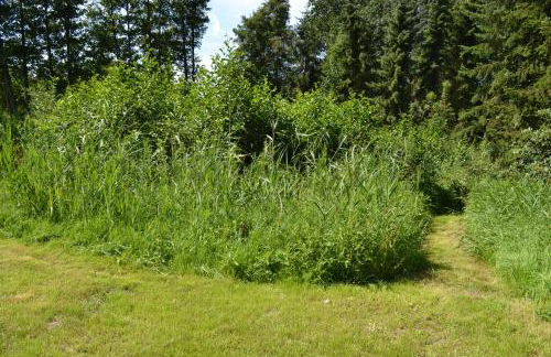 Ferienwohnung Süderfeld - Foto 62