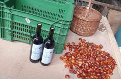 Mareinhof Vetzan-Apples,apartments&more - Foto 28